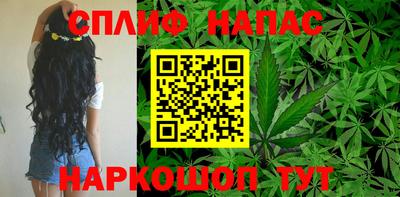 mdpv Новозыбков